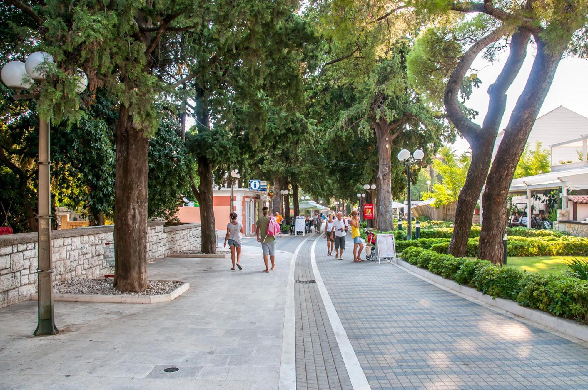 Avenue