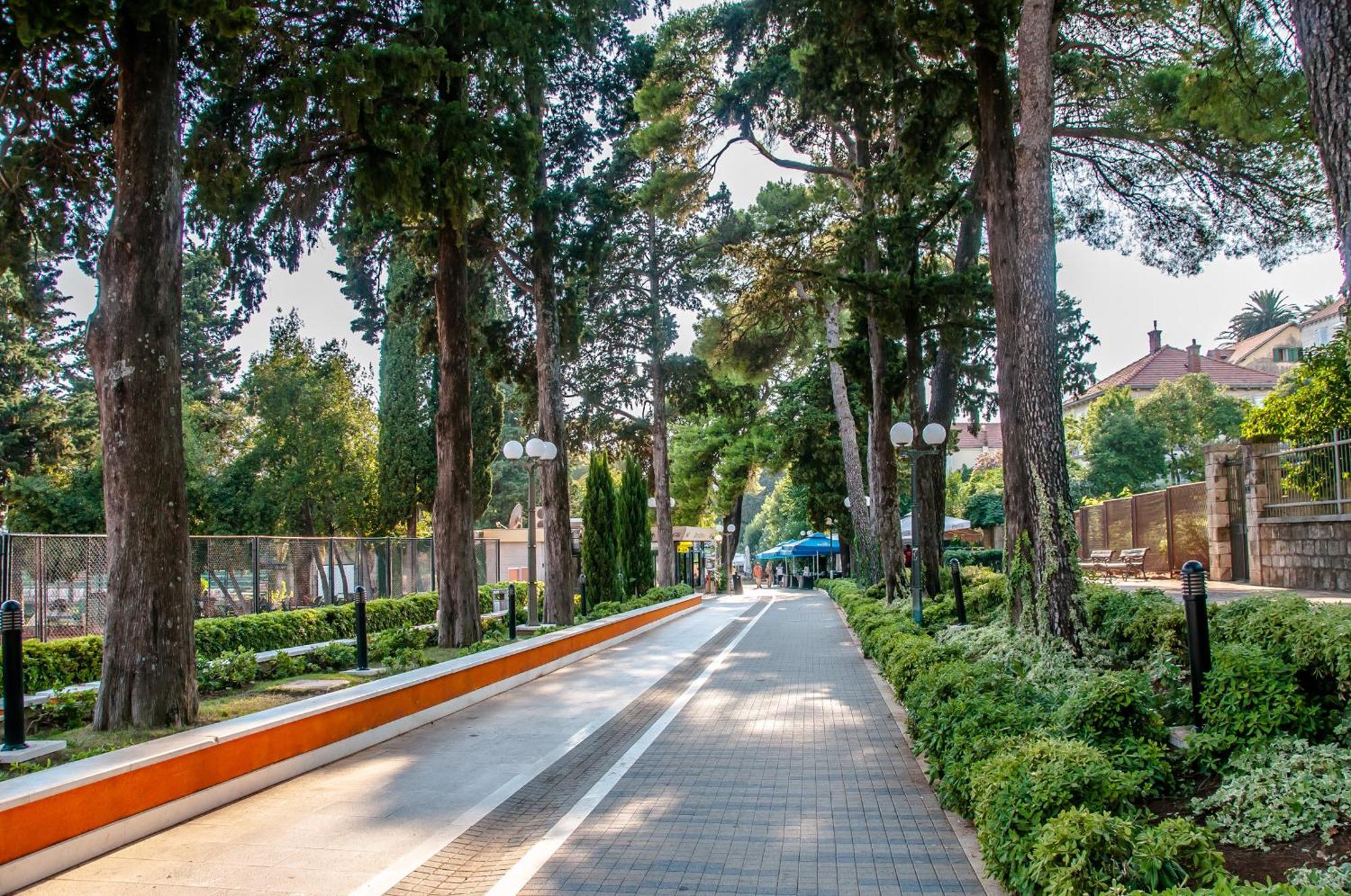 Avenue